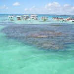 Maragogi Praia de Maragogi