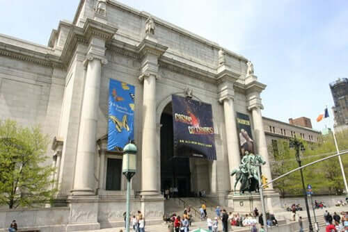American Museum of Natural History, com mais de 36 milhões de exemplares.