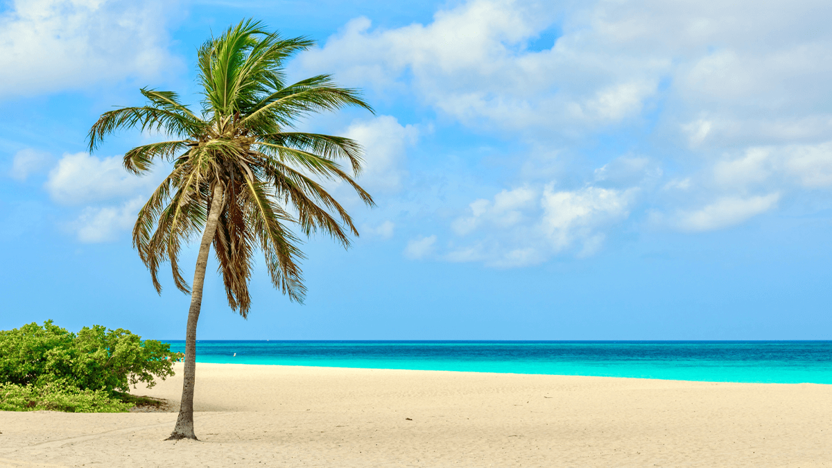Aruba Caribe