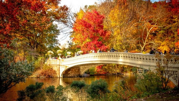 Central Park