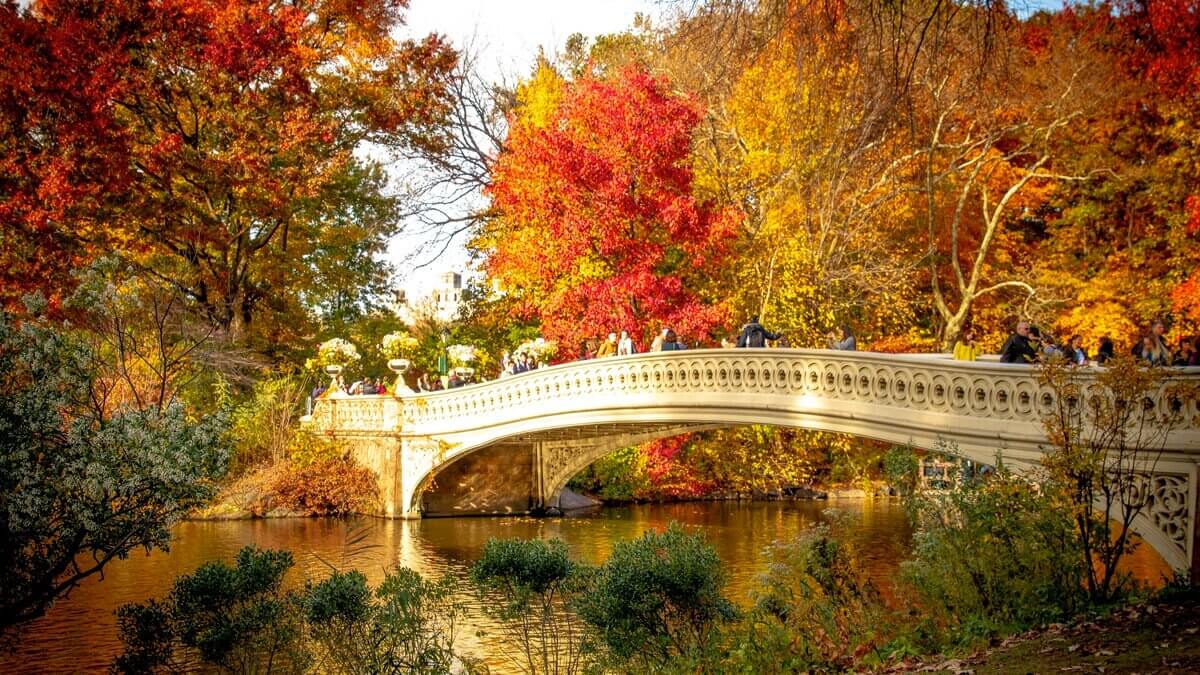 Central Park