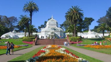Golden Gate Park