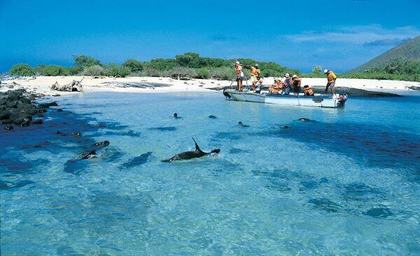 Ilhas de Galápagos - Equador