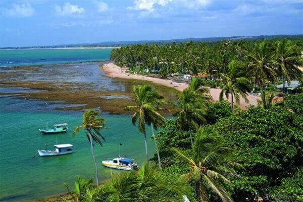 Praia do Forte BA - imagens