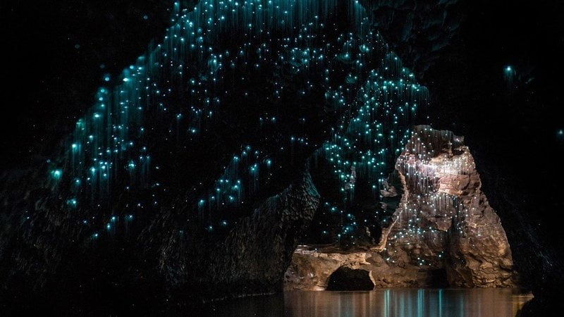 Waitomo Caves