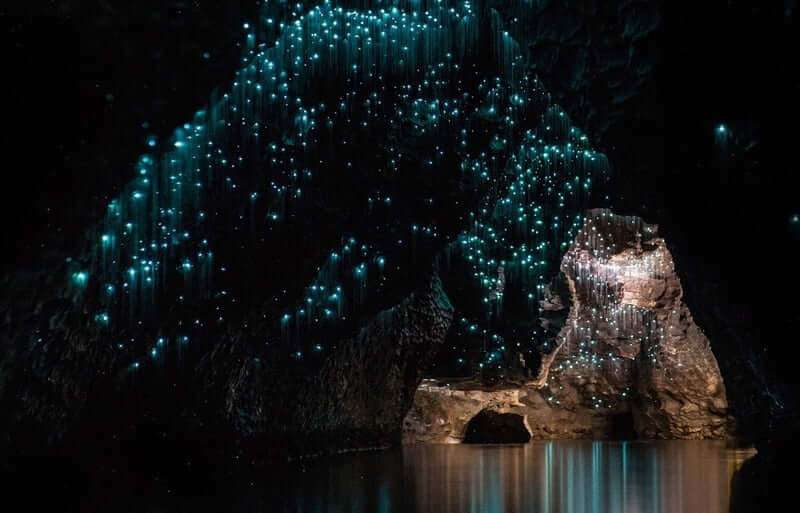 Waitomo Caves
