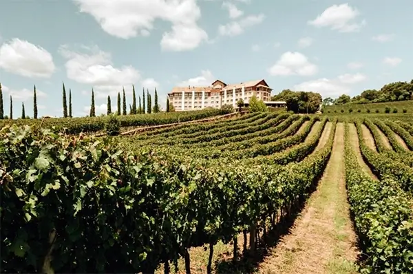 Hotel & Spa do Vinho